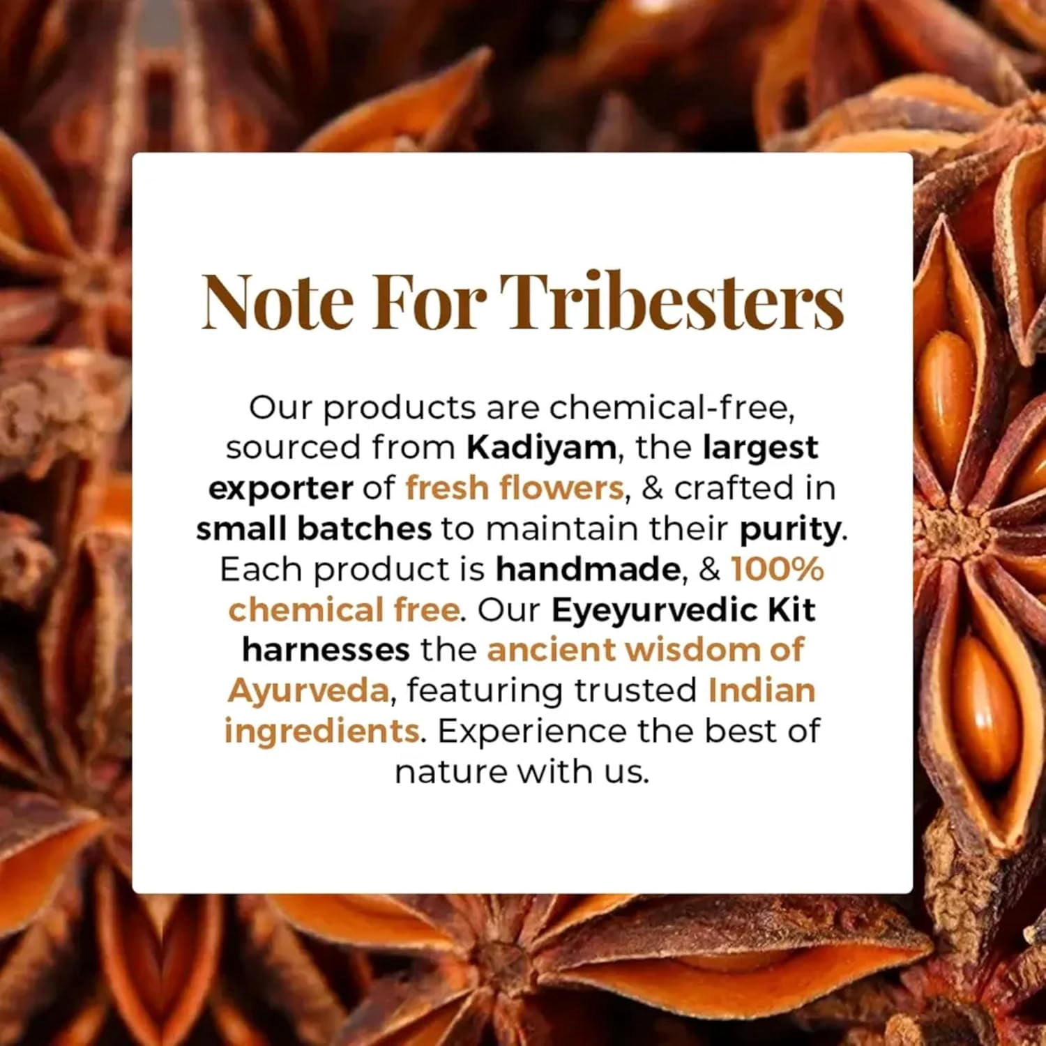 The Tribe Concepts Under Eye Brightening Oil for Dark Circles Removal, Reduces Puffiness Fine Lines, Wrinkles, Aging, Eye Pigmentation with Star Anise, Amla, Natural for Men Women - 8 ml Pack of 1