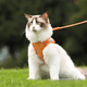 thumbnail image 2 of Suministros para mascotas Cuerda de tracción para gatos Chaleco anticaída Cuerda reflectante para caminar Correa para el pecho para gatos, 2 of 6