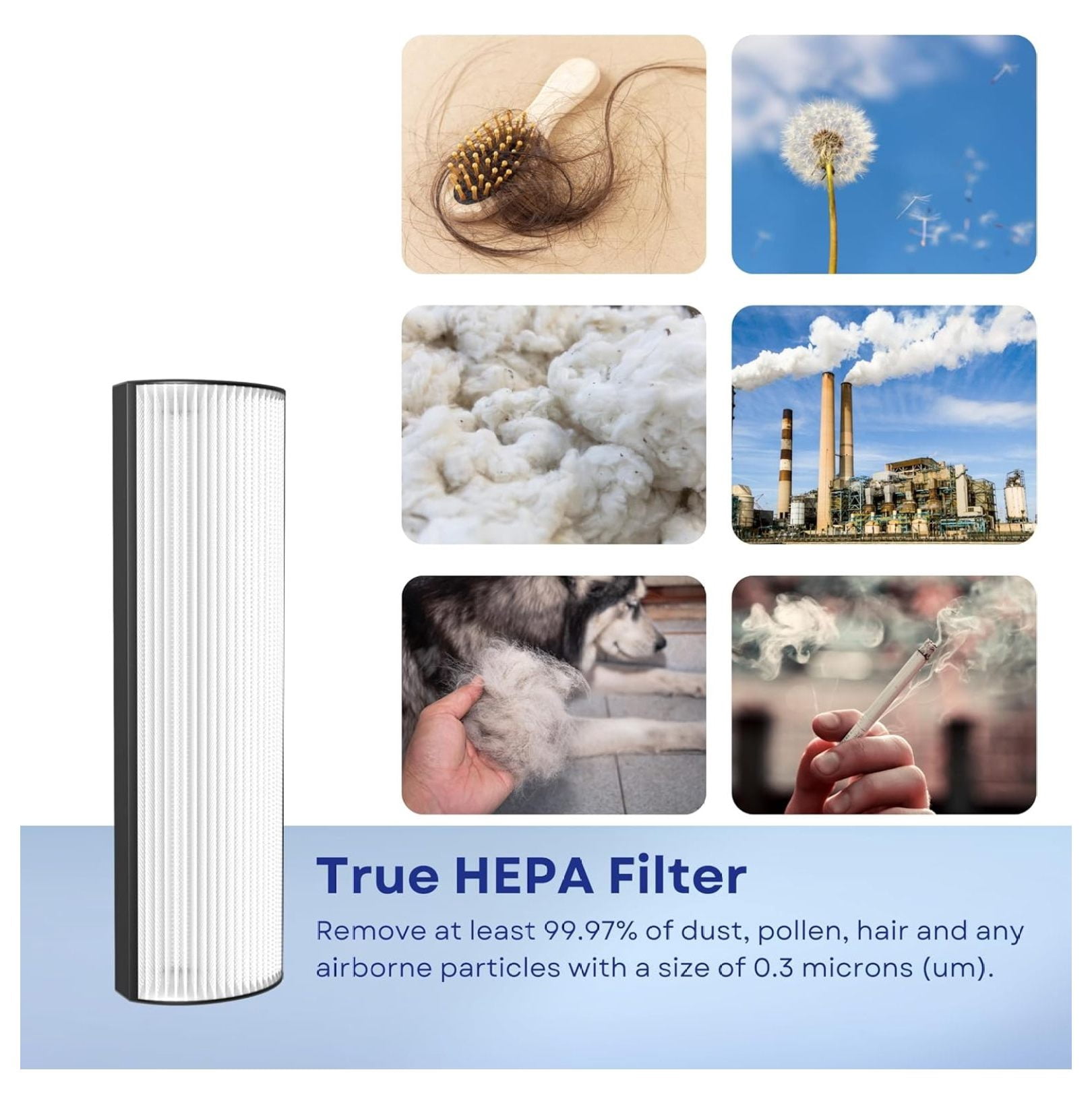 Therapure Filter Replacement TPP440 TPP440F - True HEPA Air Filter for TPP540 TPP640 AP200 Air Purifiers, 1 Pack