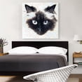 thumbnail image 2 of ARTCANVAS Himalayan Cat Breed Floating Face Canvas Art Print - Size: 36" x 36" (1.50" Deep), 2 of 9