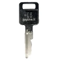 GM B50 / P1098C Mechanical Key