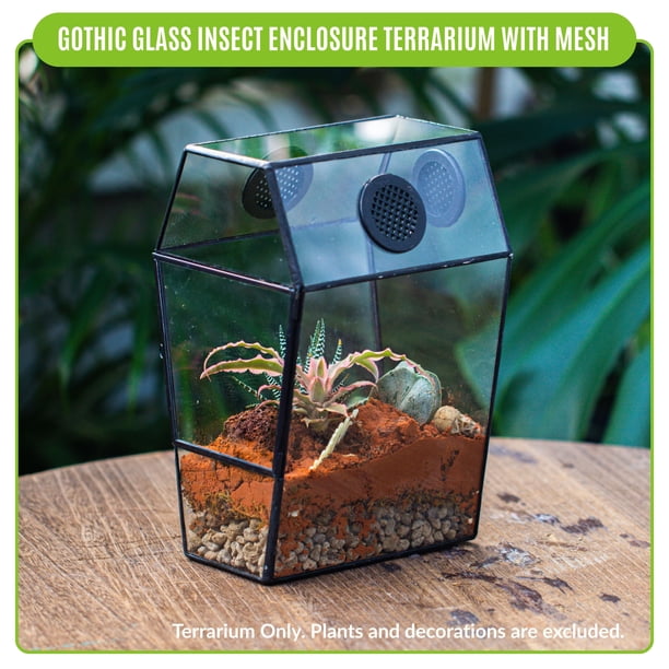 NCYP Gothic Coffin Shape Glass Terrarium with Front Door, 5.1