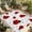 Red, variant on Ladybug Outdoor Rug for Patio/Deck/Porch, Non-Slip Large Area Rug 4 x 6 Ft, Cartoon Red Black Dots Animals Modern Simple Indoor Outdoor Rugs Washable Area Rugs, Reversible Camping Rug Carpet Runner