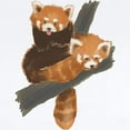 thumbnail image 2 of CafePress - Red Pandas Infant Bodysuit - Baby Light Bodysuit, Size Newborn - 24 Months, 2 of 4
