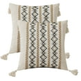 thumbnail image 1 of Juego de 2 fundas de almohada decorativas bohemias oxidadas de 18 x 18 pulgadas para sofá cama, decoración estética moderna y orgánica para habitación de otoño, 1 of 5