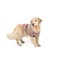thumbnail image 5 of Leveret Big Dog Cotton Pajama Red White & Green Stripes L, 5 of 5