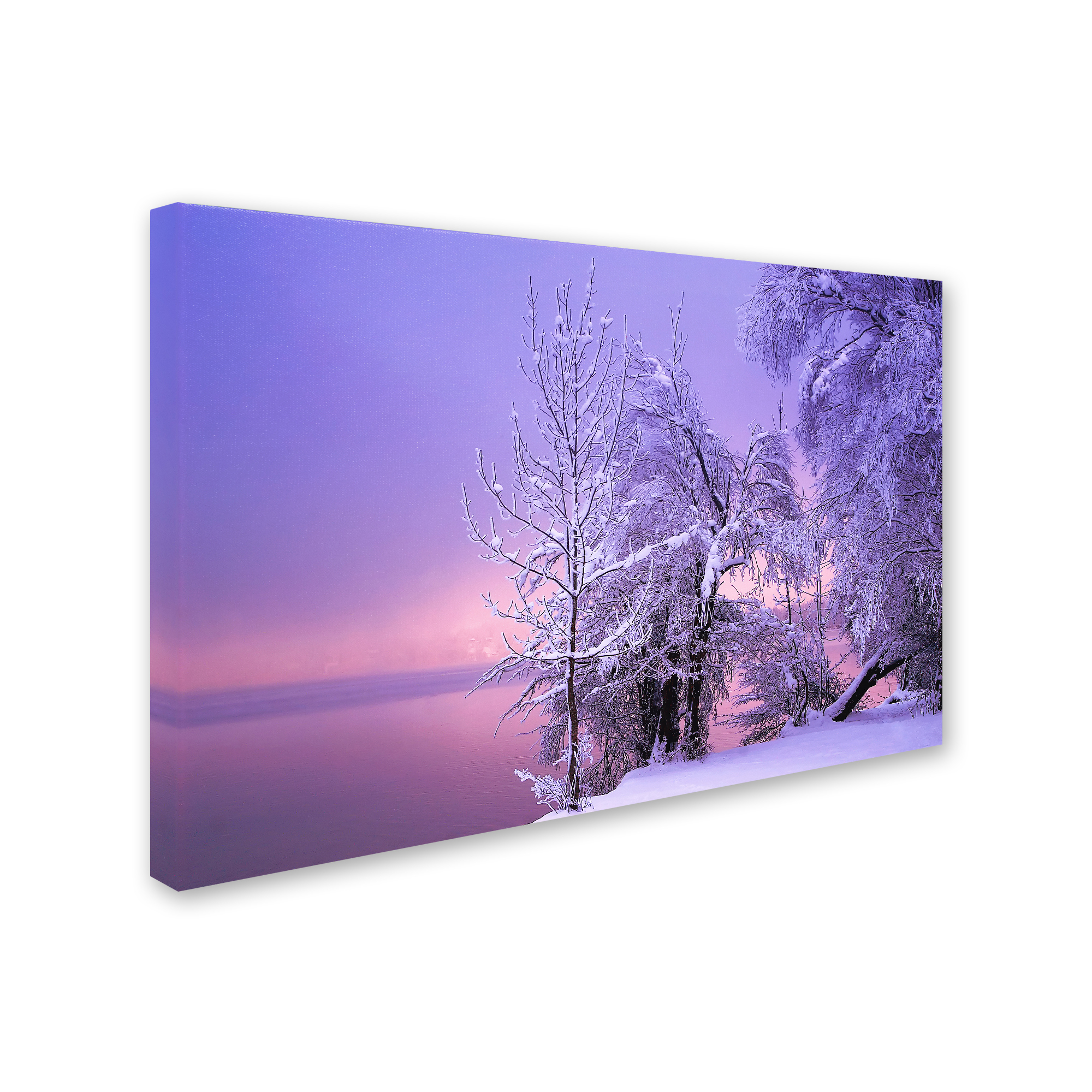 Trademark Fine Art 'Stillness' Canvas Art by Norbert Maier