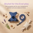 thumbnail image 5 of Adjustable Airtag Holder Cat Vest Harness with 1.5M Matching Leash, Escape Proof Reflective Pet Chest Harness for Kittens & Small Cats 3 to 8 Pounds Outdoor Walking, 5 of 7