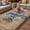 Brown Blue, variant on Vintage Sea Turtle Outdoor Rug for Patio/Deck/Porch, Non-Slip Large Area Rug 4 x 6 Ft, Brown Nautical Anchor Bubbles Coastal Indoor Outdoor Rugs Washable Area Rugs, Camping Rug Carpet Runner