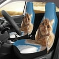 thumbnail image 2 of Sikiie Playful Cat Fisheye View Car Seat Protector 2 Pack Car Seat Cushion Mat, Car Seat Covers for SUV, Truck, Van, 2 of 7