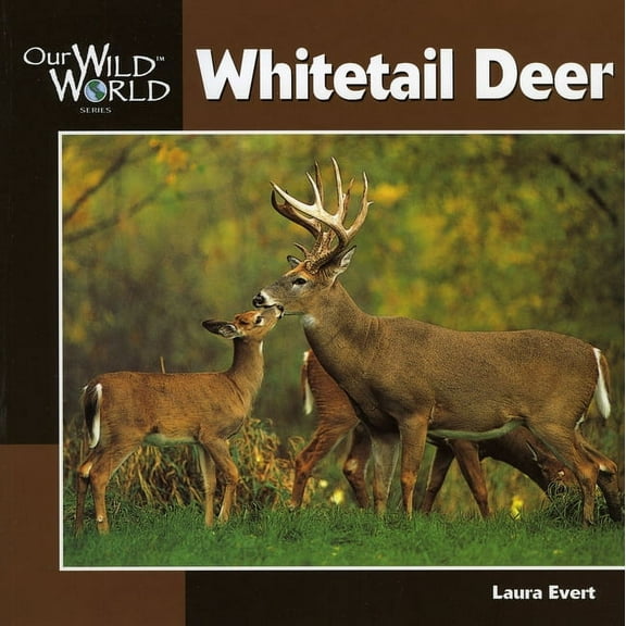 Our Wild World: Whitetail Deer (Paperback)