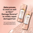 thumbnail image 3 of Set de champú y acondicionador Suave Coconut Oil Infusion, 3 of 6