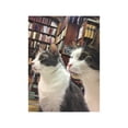 thumbnail image 5 of Bookstore Cats (Hardcover), 5 of 6