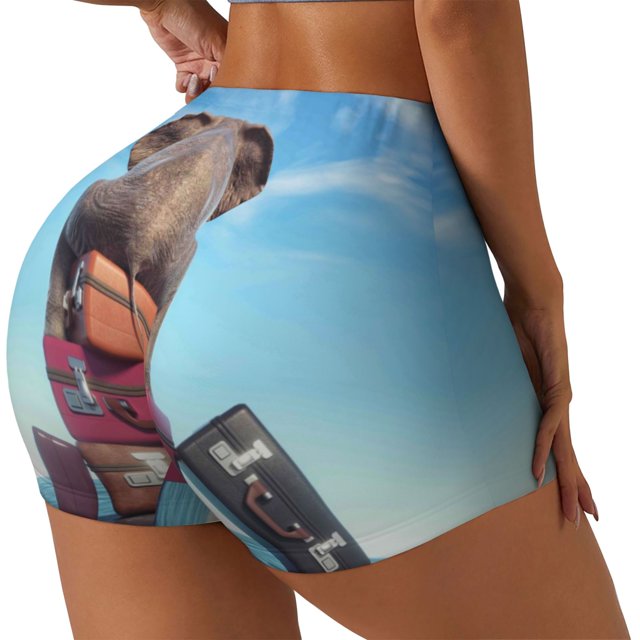 Balery Elephant Sits Pantalones cortos de entrenamiento estampados para mujer, sin costuras, ajustados, para gimnasio, yoga, correr, deportes, ejercicio activo, fitness.-Medium
