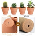 thumbnail image 6 of FRCOLOR BESTOMZ 10Pcs Small Mini Terracotta Pot Clay Pottery Planter Cactus Flower Pots Succulent Nursery Pots Wedding Party Favor, 6 of 8