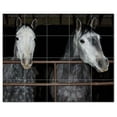 thumbnail image 1 of Horse Ceramic Tile Mural Kitchen Backsplash Bathroom Shower, 402897-XL54, 1 of 3