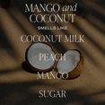 thumbnail image 2 of Difusor Reed Water Decor, mango y coco, 100 ml, 2 of 8
