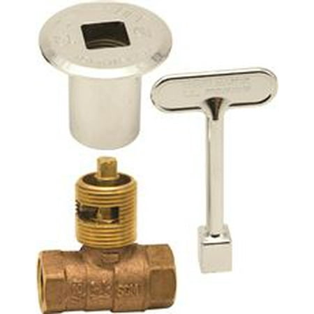 - QUARTER TURN LOG LIGHTER FOR LP (PROPANE) AND NATURAL GAS GLOBE VALVE, 1/2 IN. FIP