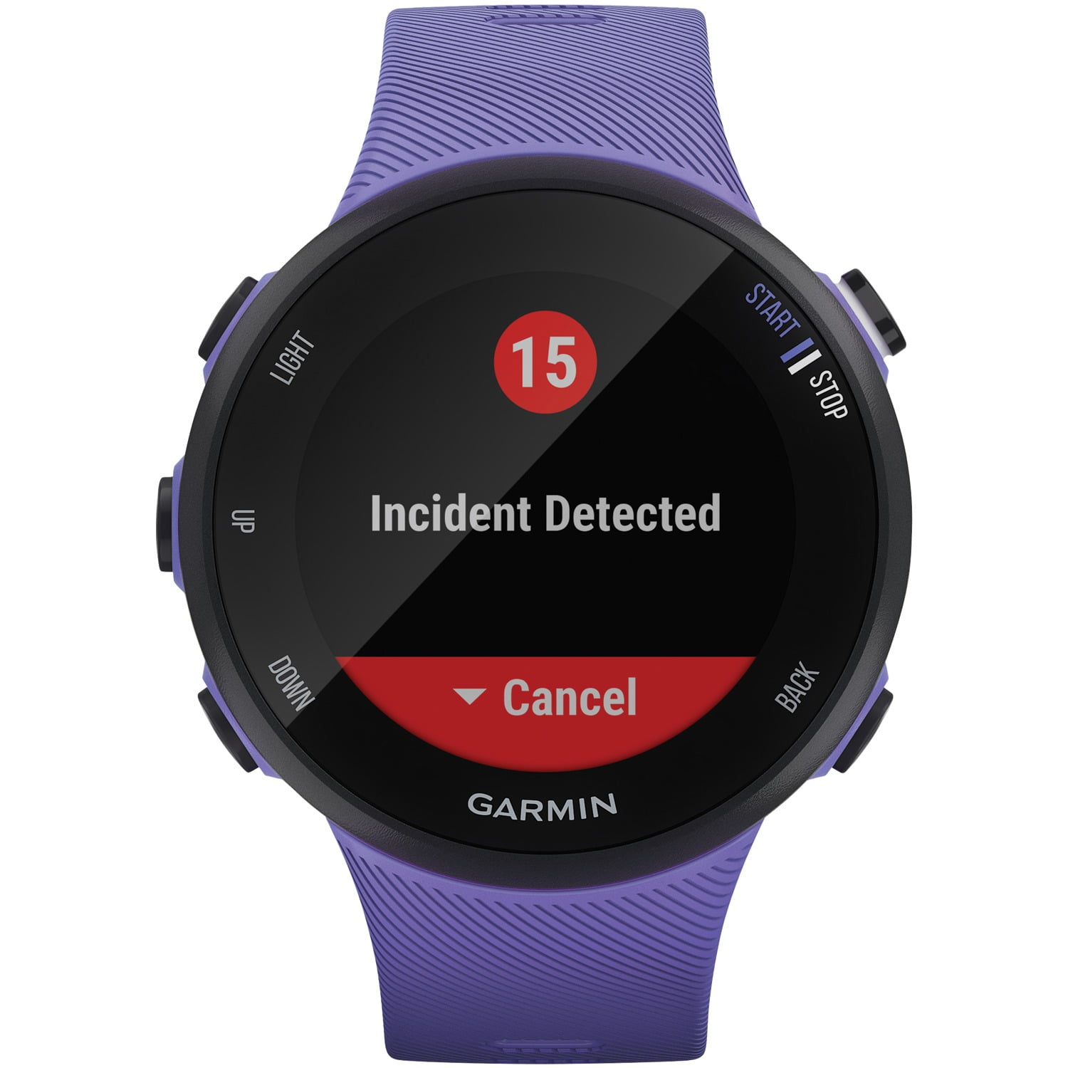 Garmin Forerunner® 45S GPS Running Watch in Iris 