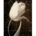 thumbnail image 2 of Amy Melious 26x32 White Modern Wood Framed Wall Art Titled - Garden Architecture I, 2 of 5
