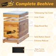 thumbnail image 2 of Kit de caja nuc de 5 cuadros MayBee para colmena, recubierta de cera, 2 of 7