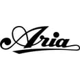 thumbnail image 4 of Aria Delta Player 6 String Acoustic Guitar, Muddy Brown Matte Finish, Dreadnought ARIA-111DP, 4 of 5