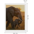 thumbnail image 2 of Diamond Art Kit for Adults, Elephant Calves Sunset Scene Diamond Painting for Adults Beginners, 5D DIY Diamond Art Painting Kits, Colorful Diamond Painting Craft for Home Decor 12x16, 2 of 7