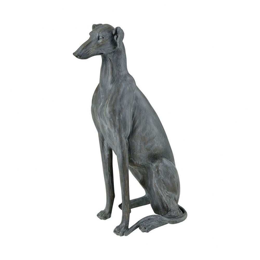 grey greyhound dog