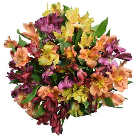 Walmart Grocery Alstroemeria 14 Stems Colors May Vary
