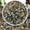 20 Pounds, variant on 20lbs Natural River Rocks, 3"-4" Premium Pebbles for Garden and Landscape Design, Hand-Picked Smooth Stones for Fish Tank, Flower Pots, Indoor Water Fountains, Pathways, Backyard