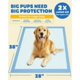 thumbnail image 5 of Powools XXL Puppy Pads, 38"×28", 75 Count, Super Absorbent Pee Pads for Large Dogs with Leak-Proof Design, 5 of 6