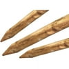 Bond 2-1/4 in. W Brown Wood Lodge Pole and Tree Stakes - Case Of: 6