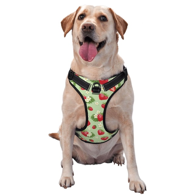 Balery Strawberry Floral Arnés para Perros Grandes Antitirones, Arnés con Correa para Gato, Arnés Tipo Chaleco para Perros Pequeños-Small