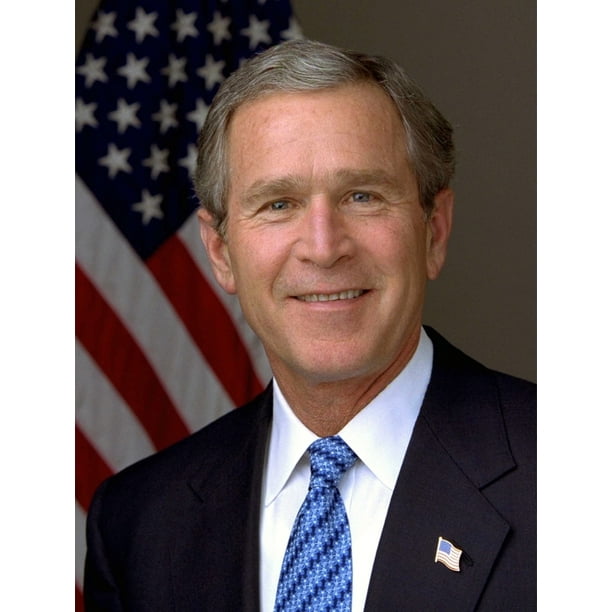 Official Photograph Portrait Of U.S. President W. Bush. 2003
