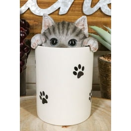 Fib Burton & Burton Chester Cat Ceramic Cookie Jar - Collectible Cookie outlet Jar