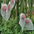 thumbnail image 3 of Plant Flower Fruit Protect For Indoor Outdoor Gardening, Reusable Net Bag Non-Toxic Material Drawstring Design Protect From Insects Pests, Bird Net Barrier Garden Nylon Mesh (Pack Of 100), 3 of 5