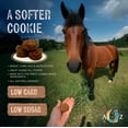 thumbnail image 2 of Galletas para caballos A TO Z Original bajas en azúcar 2 kg, 2 of 7