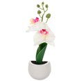 thumbnail image 1 of Lot de 1 Aimant de Réfrigérateur en Forme de Plante Multicolore pour Décoration Intérieure Accessoires de Réfrigérateur, 1 of 8