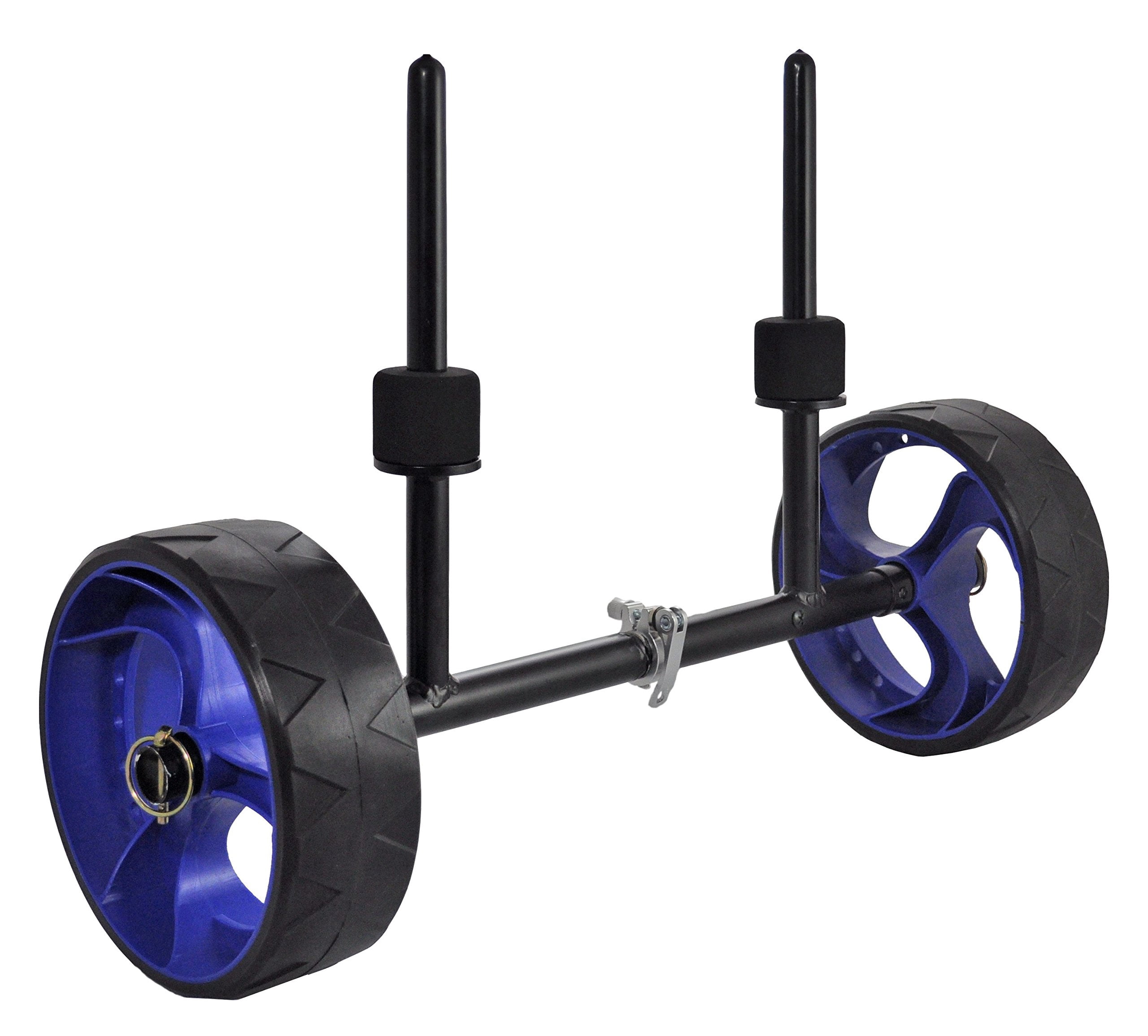 Seattle Sports Carriers Scupper Swift