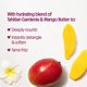 thumbnail image 3 of Champú y acondicionador Not Your Mother's Naturals Curl, 3 of 9