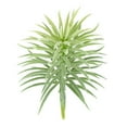 thumbnail image 2 of Artificial Pine Plant Simulation Greenery Home pine artificial pine Office Ornament Fake Plant Decoration, Green, 2 of 8