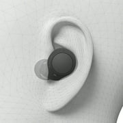 Sony WF-C510 Truly Wireless Earbud Headphones, Black