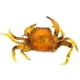 thumbnail image 5 of señuelo de pesca,Señuelo de cangrejo artificial,Señuelo de cangrejo falso, 5 of 9