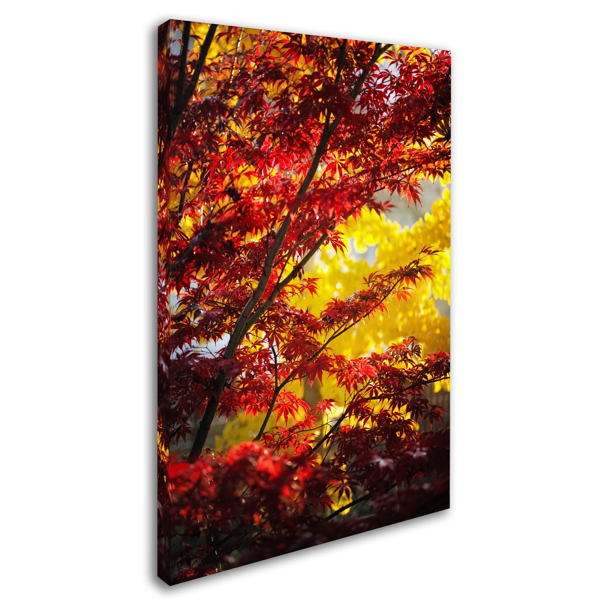 Trademark Fine Art "I Believe" Canvas Art by Philippe Sainte-Laudy