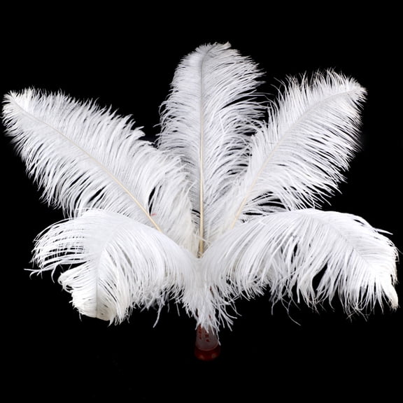 10pcs 15-20cm Natural Ostrich Feathers Wedding Party Decoration Festival Christmas Decor Artificial Feather