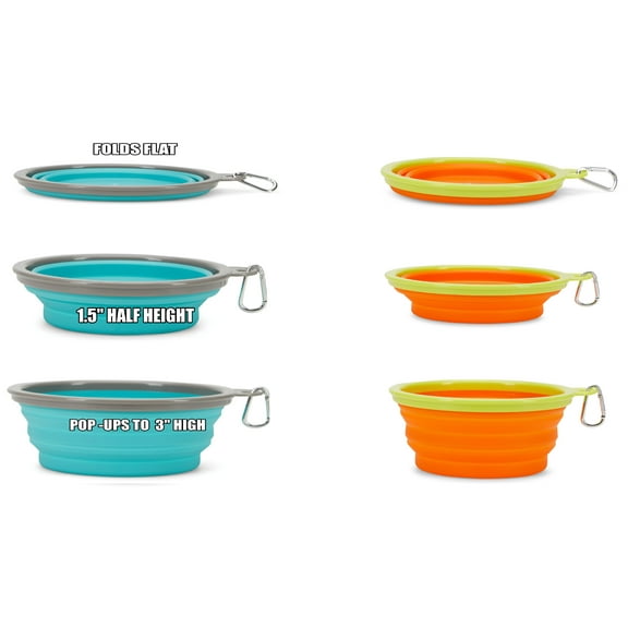 Animal Planet Collapsible Bowl-Large 7"  ( 2 Pack) 1 each Blue / Orange