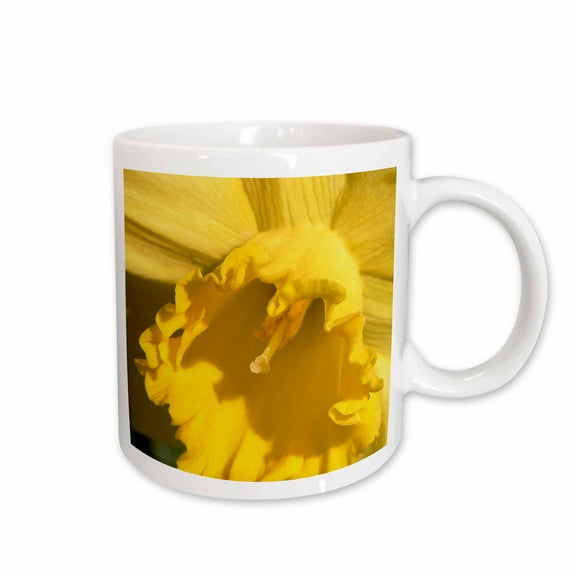 3drose, Yellow Daffodils Flowers, 11oz Mug