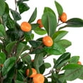 thumbnail image 3 of Northlight 34" Artificial Orange Citrus Tree in Black Pot, 3 of 5