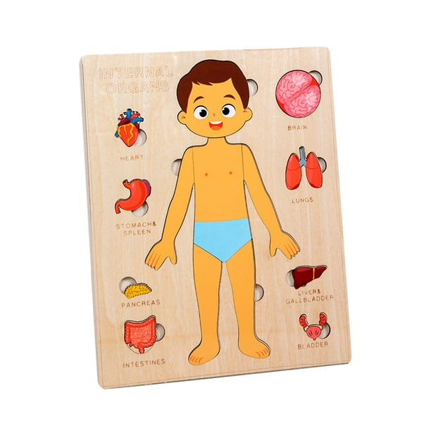 Juego de rompecabezas de madera del cuerpo humano, herramienta de enseñanza para el conocimiento de los órganos del cuerpo, juguete educativo Chico