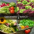 thumbnail image 4 of Lettuce Hydroponic Growing Kit, 4 of 7